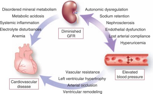 Secondary hypertension