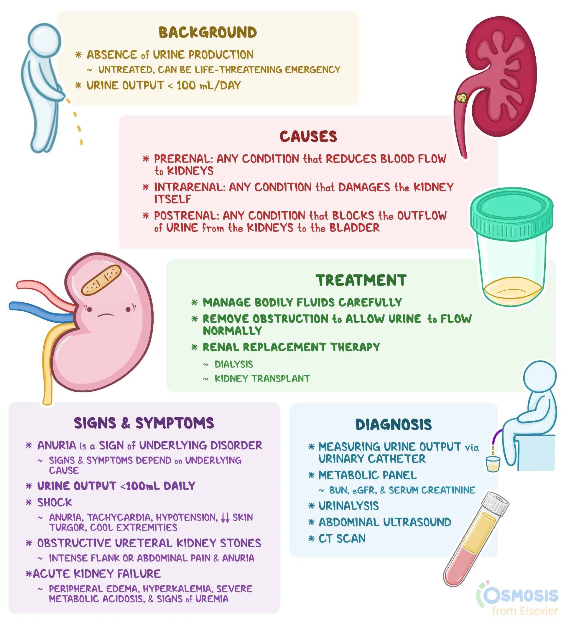 Acute kidney injury